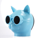 Cool Cat Portable solar Verizon new speaker with LED light