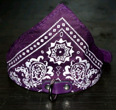 Collar Paliacate Bandana