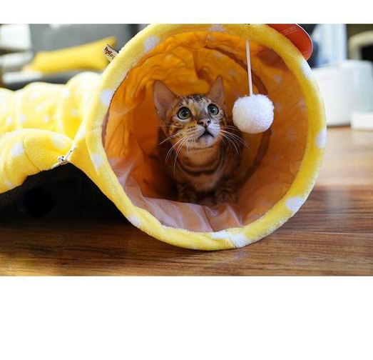 Cama Gato Con Tunel