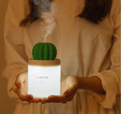 Illuminated cactus ball humidifier