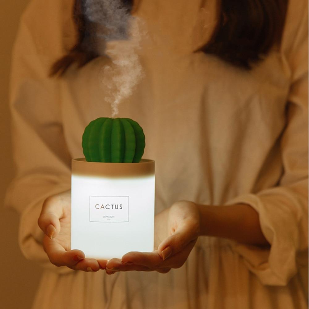 Illuminated cactus ball humidifier