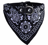 Collar Paliacate Bandana