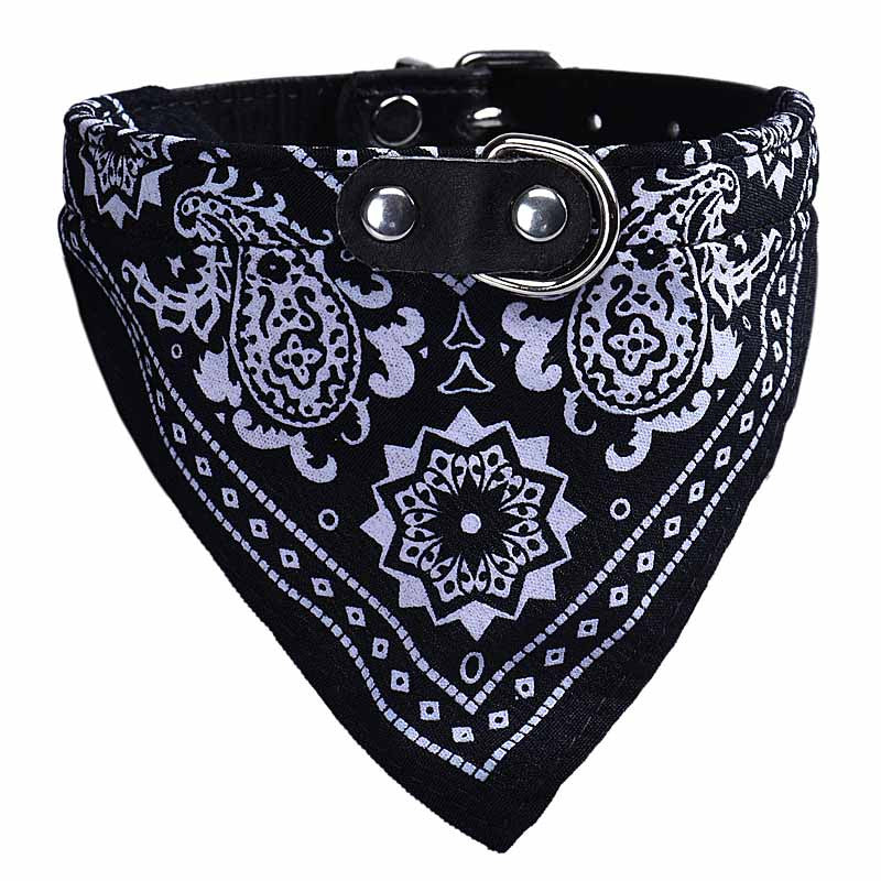 Collar Paliacate Bandana