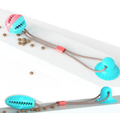 Suction cup molar toy