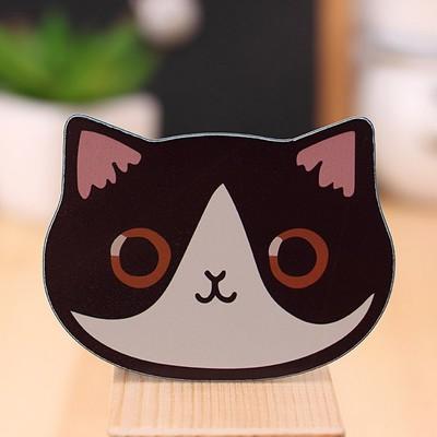 Cat Makeup Mirror