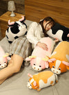 Translation missing: es.sections.featured_product.gallery_thumbnail_alt
