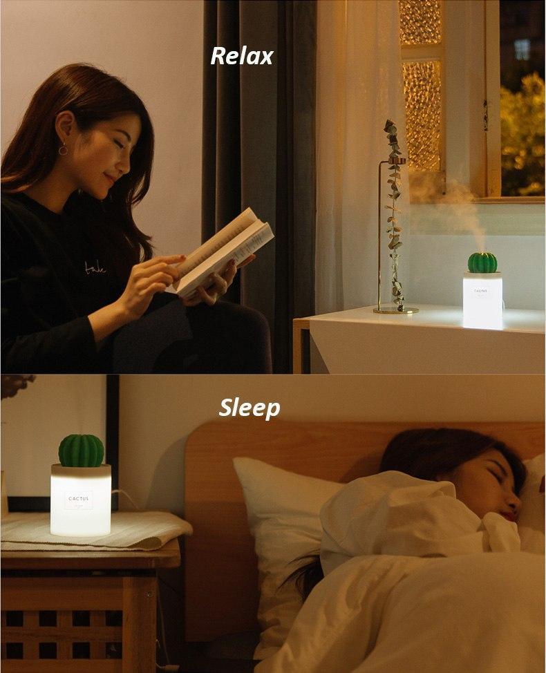 Illuminated cactus ball humidifier