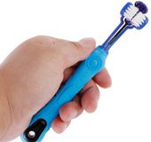 Pdet toothbrush