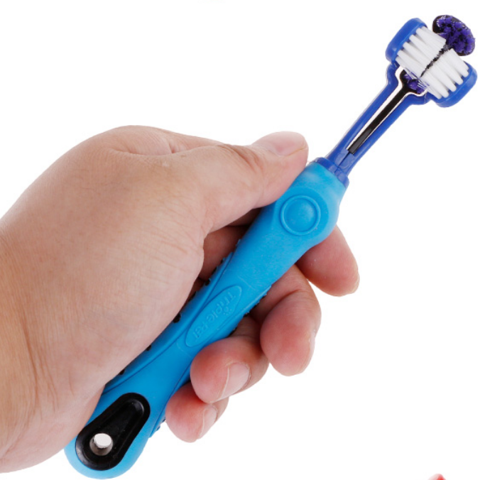Pdet toothbrush