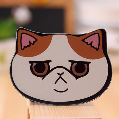 Cat Makeup Mirror