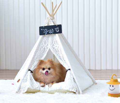 Small tent