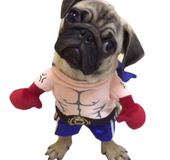 Boxer Costume
