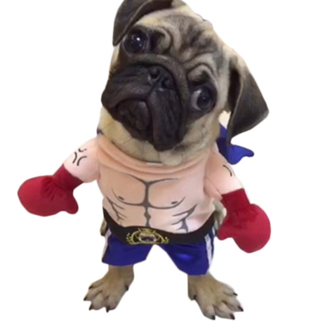 Boxer Costume