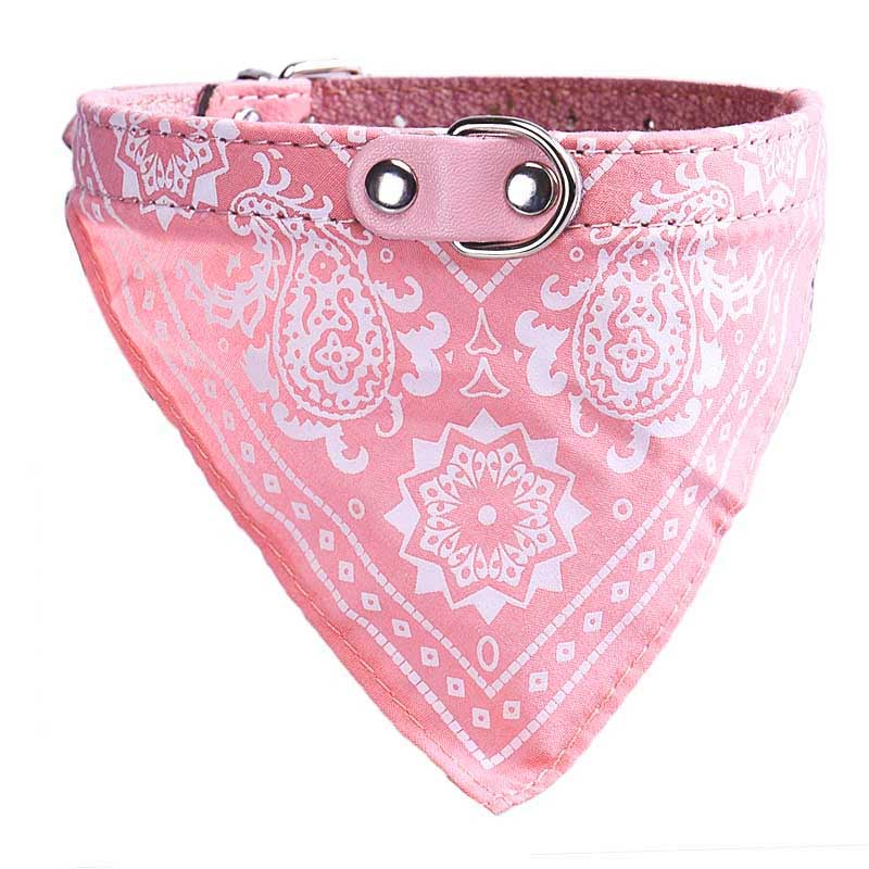 Collar Paliacate Bandana