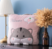 blanket cushion pillow