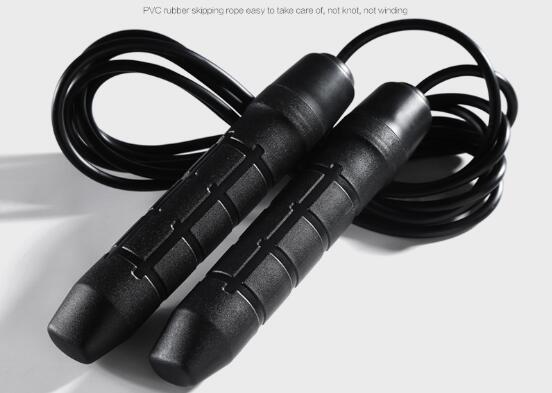 Abs Roller