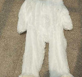 Processing export plush toy bear Teddy bear American big bear leather shell factory direct one generation