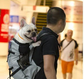 Dog Pet Shoulder Passenger Backpack Dog Outdoor Bag