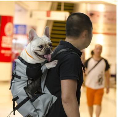 Dog Pet Shoulder Passenger Backpack Dog Outdoor Bag