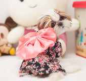 Ropa Perro Kimono Con Moño