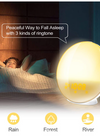 Translation missing: es.sections.featured_product.gallery_thumbnail_alt
