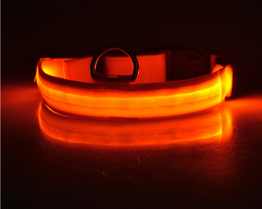 Collar Led Para Perro