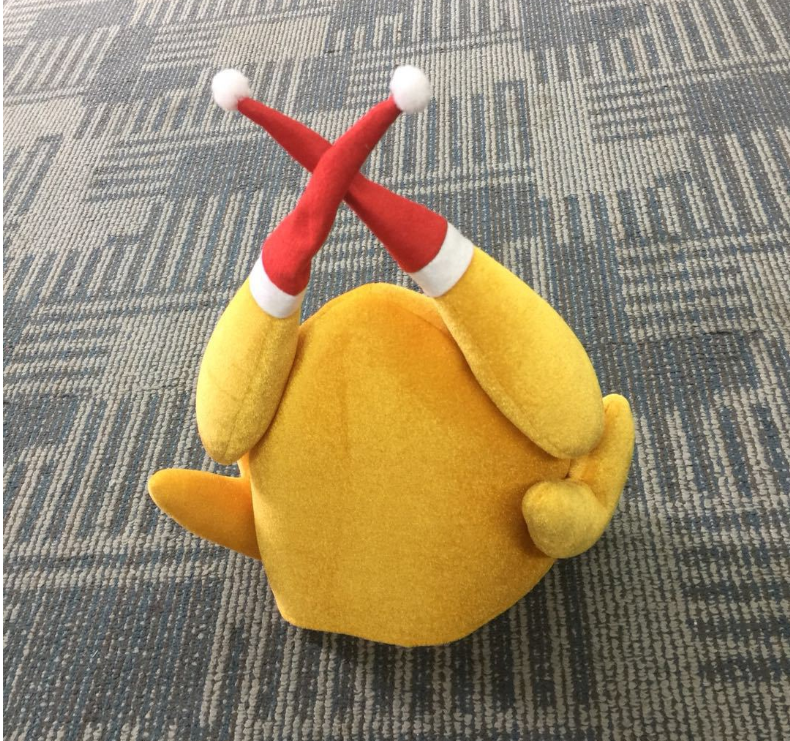 Christmas turkey hat