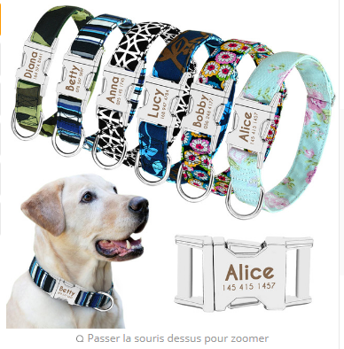 Identificador Collar Para Mascotas