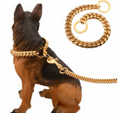 Stainless steel titanium steel pet chain