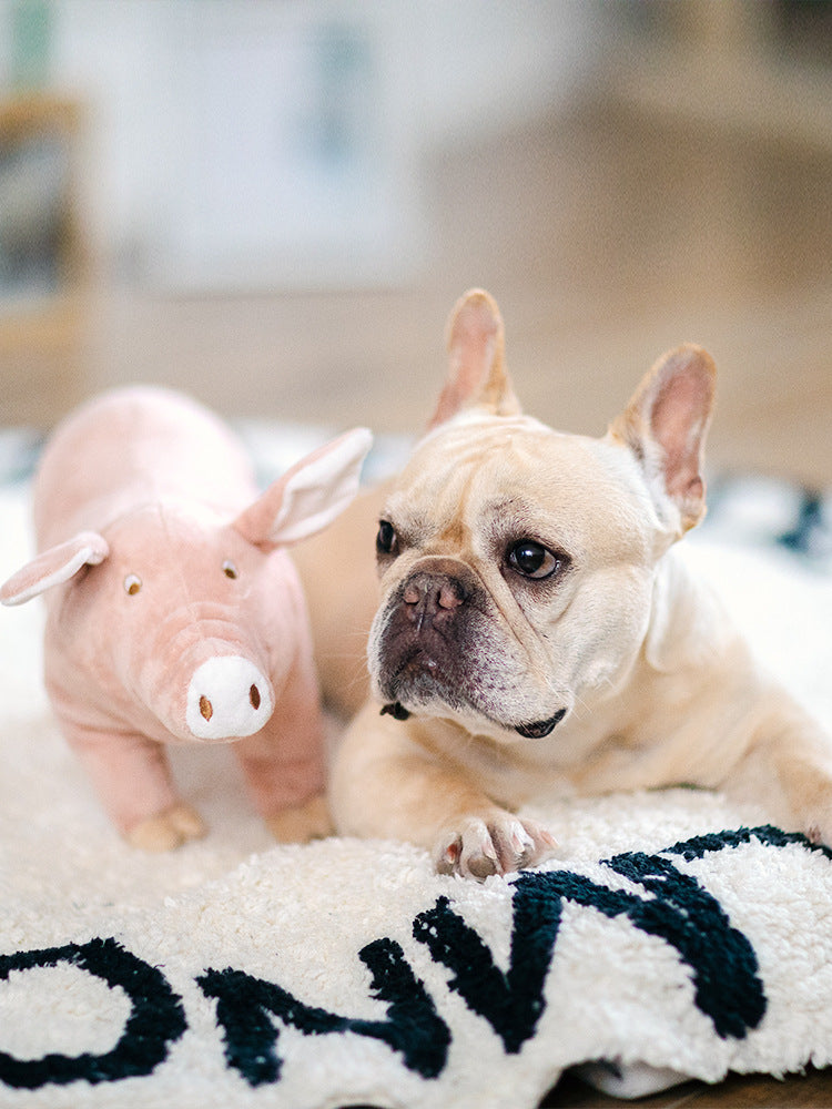 Cerdito Acompañante De Dormir