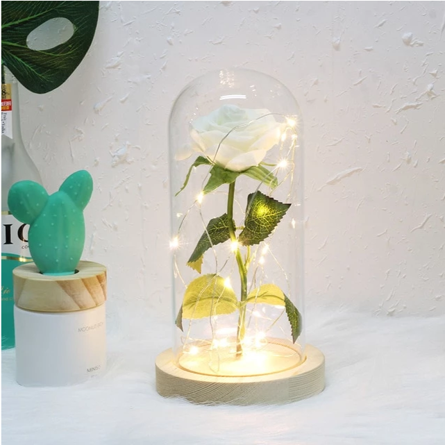 Smuxi LED Rose Wishing Bottle Festival Light Warm White Light Black/Beige Base Rose Flower Bottle Night Light Gift