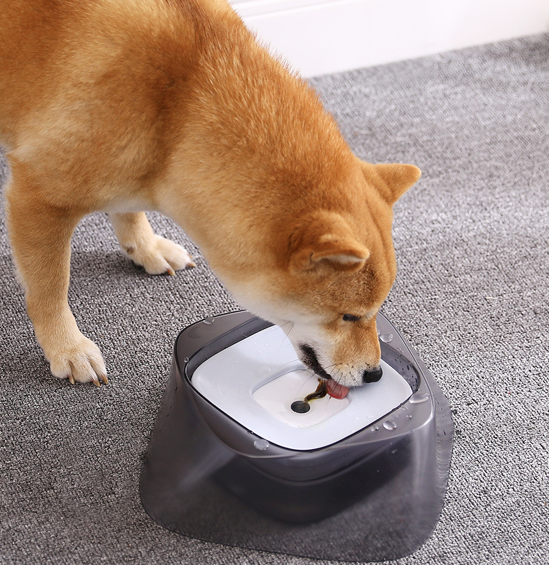 Diamond pet floating bowl detachable non-wet mouth water bowl