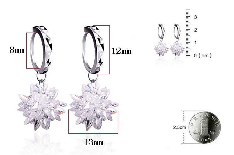Pure beauty ice 925 silver earrings