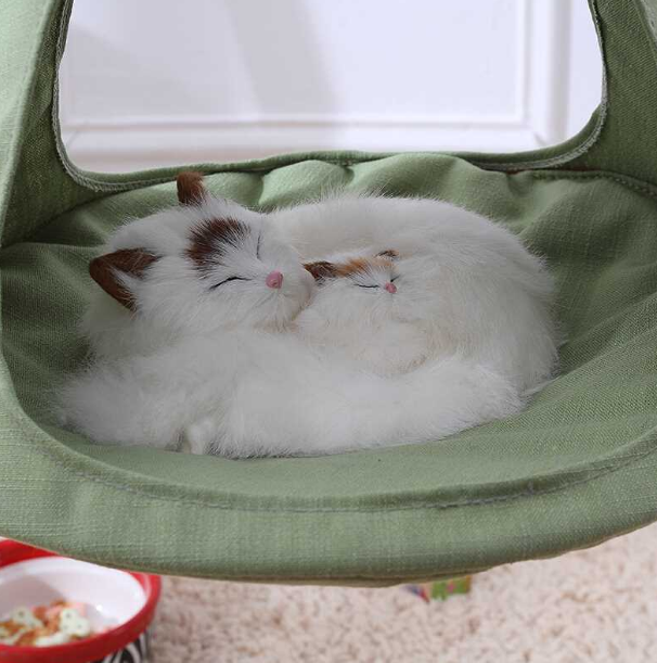 Cat Hammock Triangle
