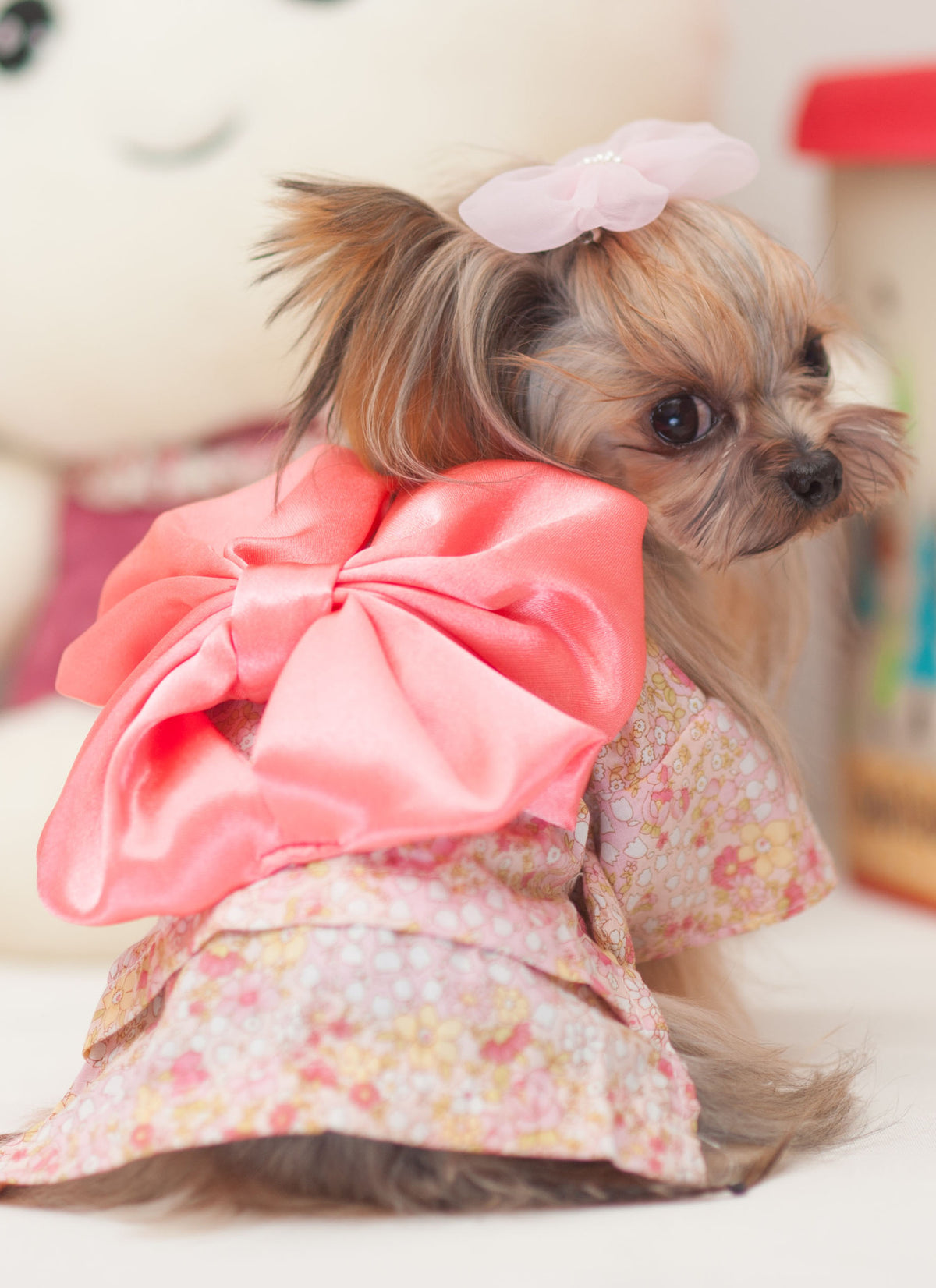 Ropa Perro Kimono Con Moño