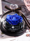 Translation missing: es.sections.featured_product.gallery_thumbnail_alt
