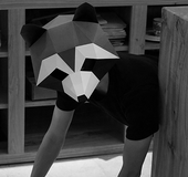 Creative diy paper mold handmade mask small raccoon hood full face tide cute cute masquerade party Halloween