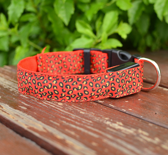 Collar LED