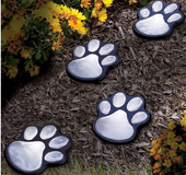 Paw Print Solar Garden Lights