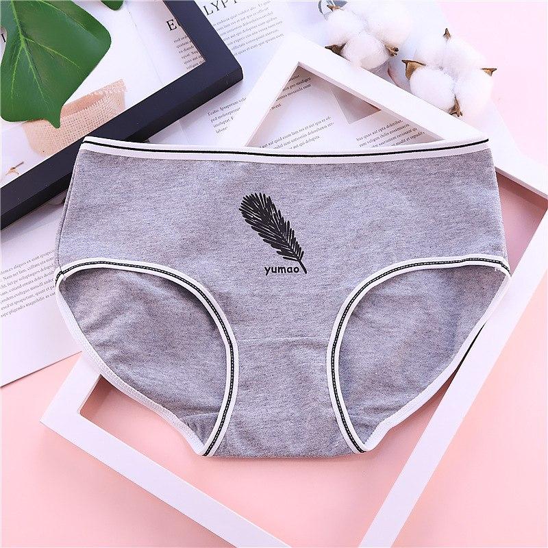 Briefs