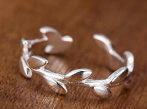 Olive leaf imitates silvering