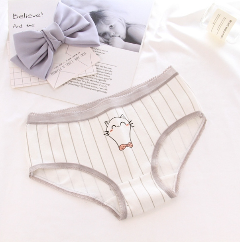 Panties cotton