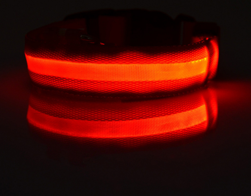 Collar Led Para Perro