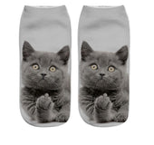 Various Cat Socks