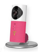 360 degree panoramic Garfield dog network camera