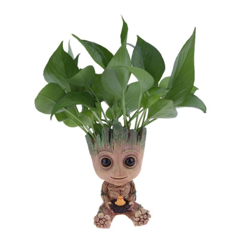 Jardinera