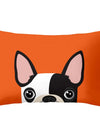 Translation missing: es.sections.featured_product.gallery_thumbnail_alt
