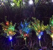 Garden landscape with lawn light