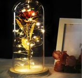 Smuxi LED Rose Wishing Bottle Festival Light Warm White Light Black/Beige Base Rose Flower Bottle Night Light Gift