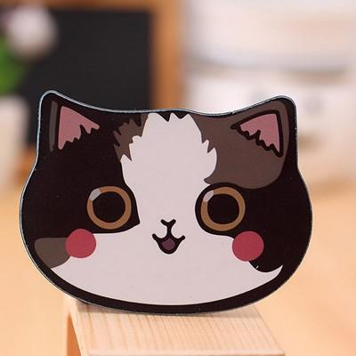 Cat Makeup Mirror